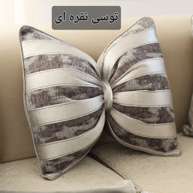 توسی نقره ای