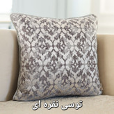 توسی نقره ای